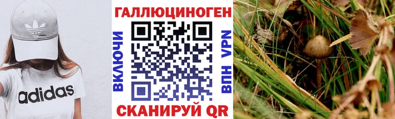 Галлюциногенные грибы ЛСД  как найти наркотики  Балашов 