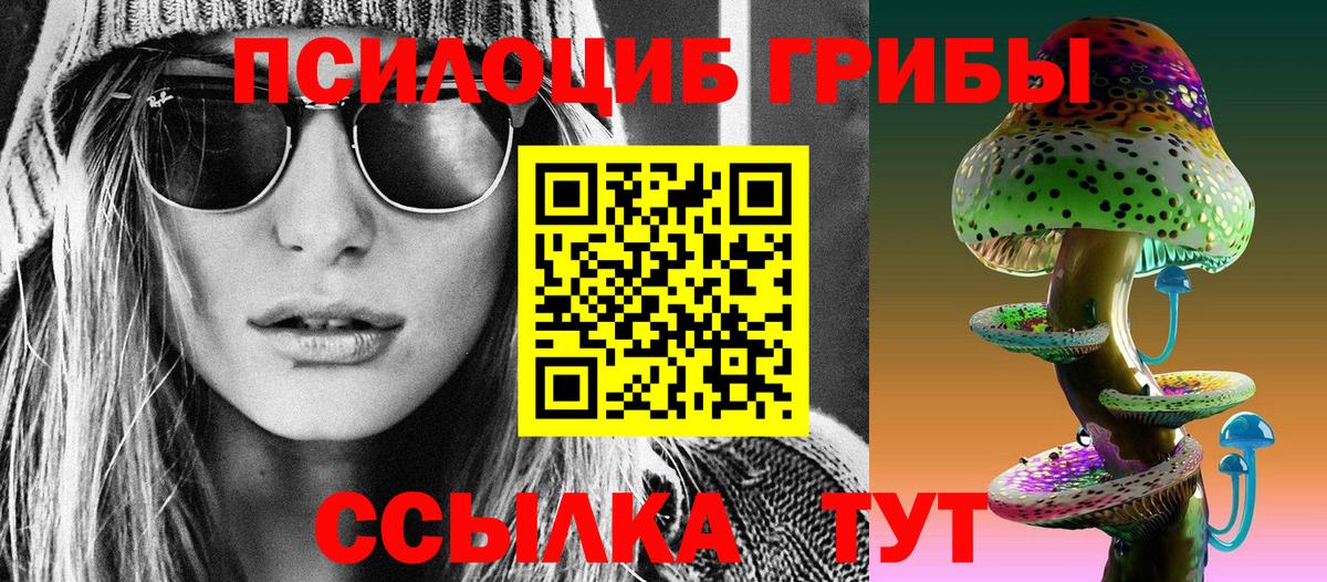 Балашов  Галлюциногенные грибы мицелий  Вход с VPN 